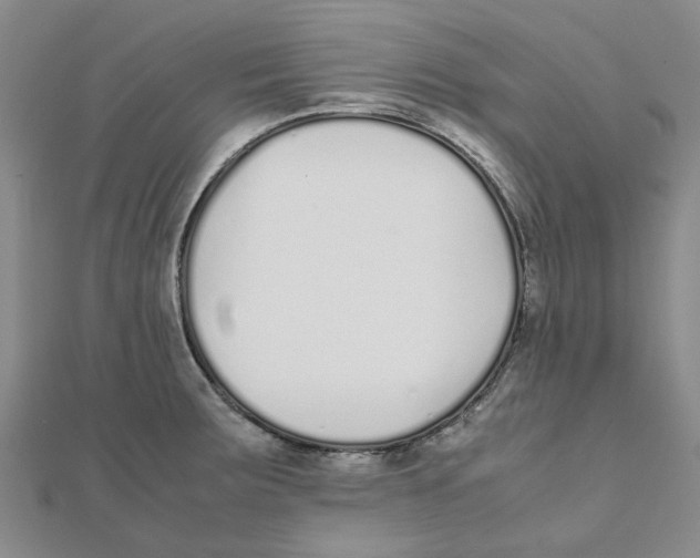 X0000111501283200908111238