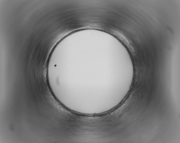 X0000111501284200908111238