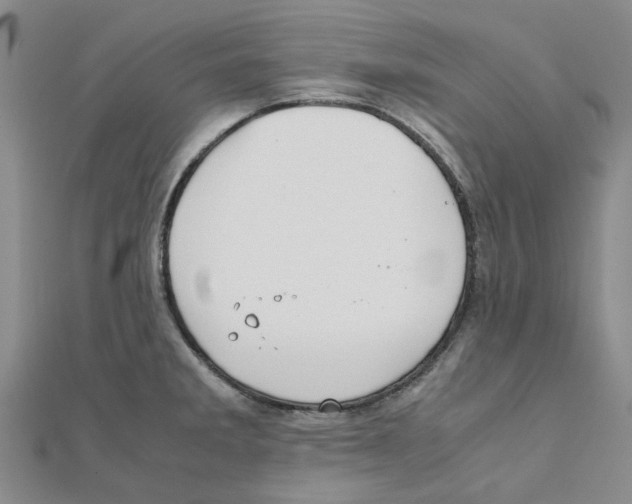 X0000111501285200908111238