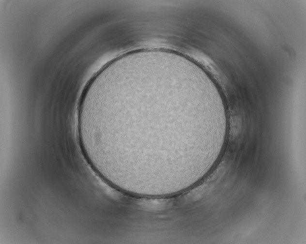 X0000111501286200908111238