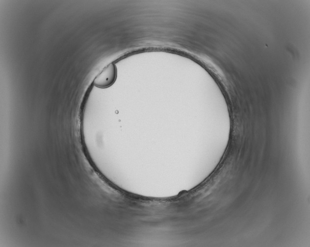 X0000111501287200908111238