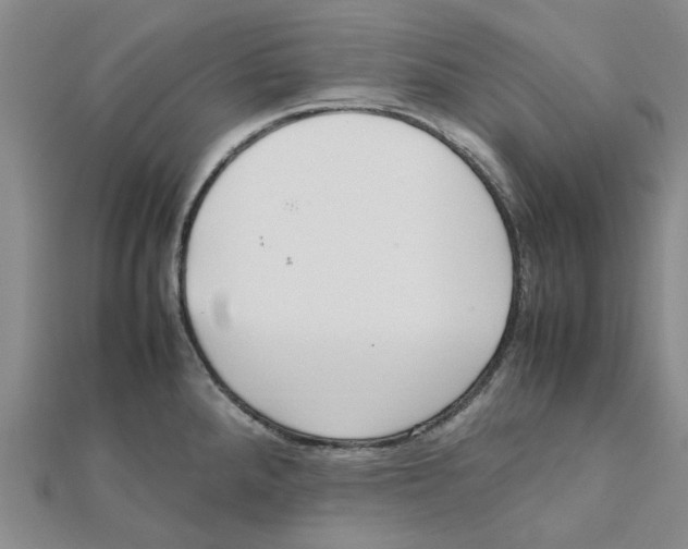 X0000111501288200908111238