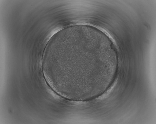 X0000111501289200908111238