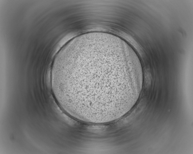 X0000111501290200908111238