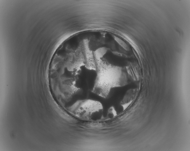 X0000111501291200908111238