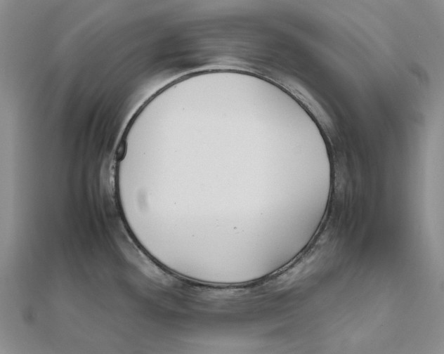 X0000111501292200908111238