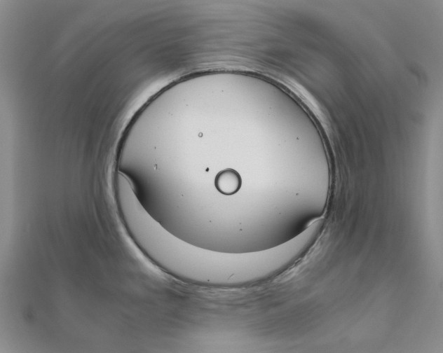 X0000111501293200908111238