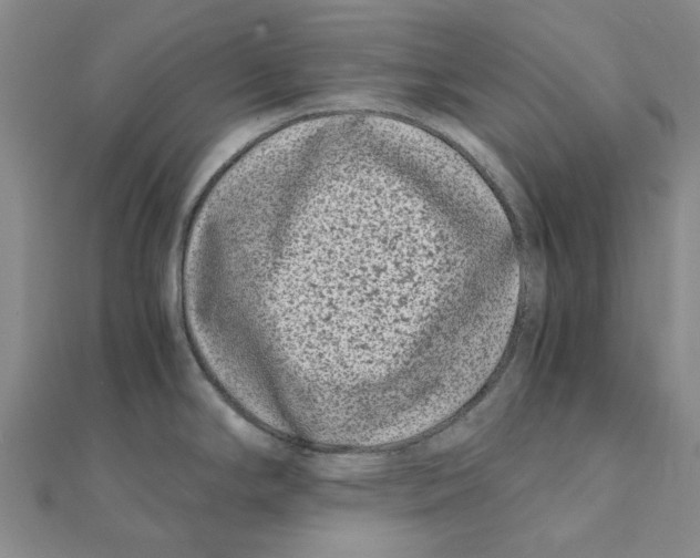 X0000111501294200908111238