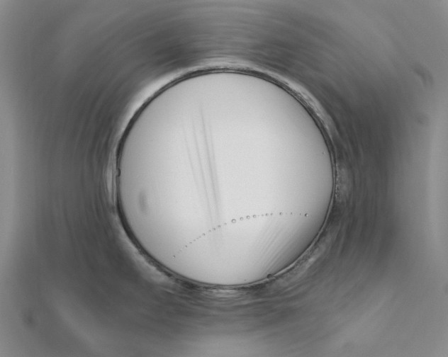 X0000111501295200908111238