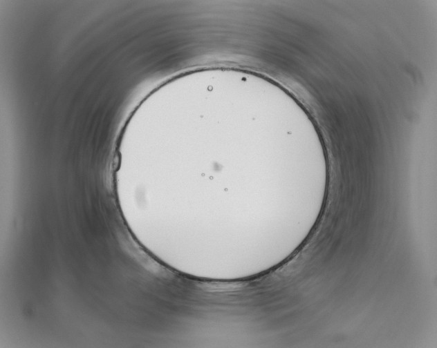 X0000111501296200908111238