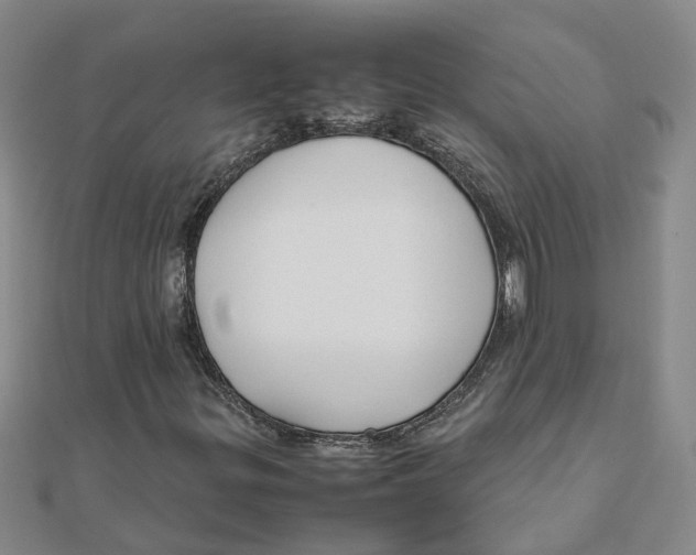 X0000111501299200908111237