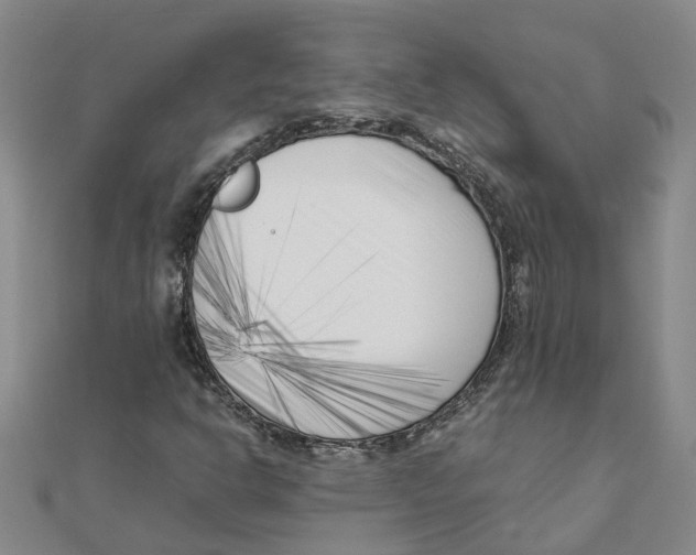 X0000111501302200908111237