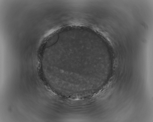 X0000111501303200908111237