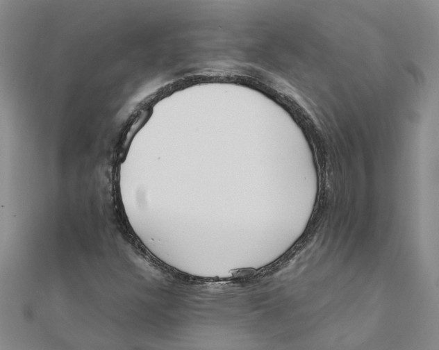 X0000111501304200908111237