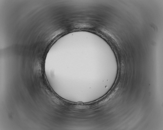 X0000111501305200908111237