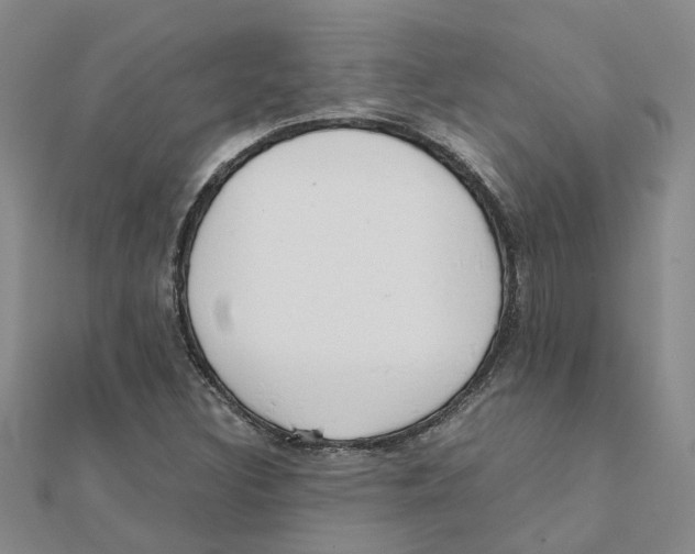 X0000111501308200908111237