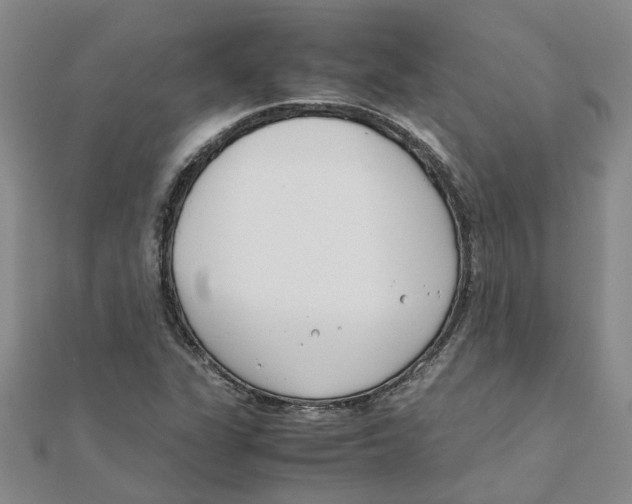 X0000111501311200908111237