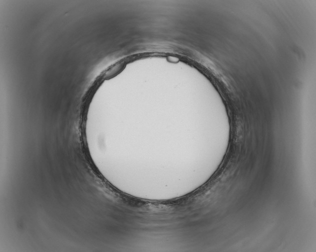 X0000111501312200908111237