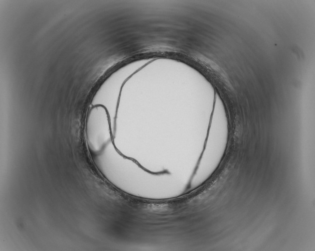 X0000111501313200908111237