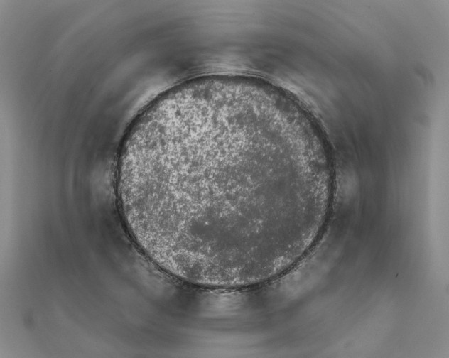 X0000111501314200908111237