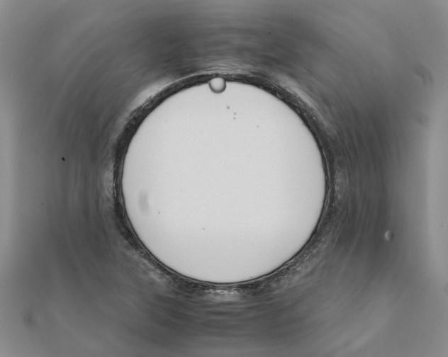 X0000111501315200908111237