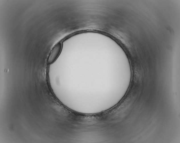 X0000111501316200908111237