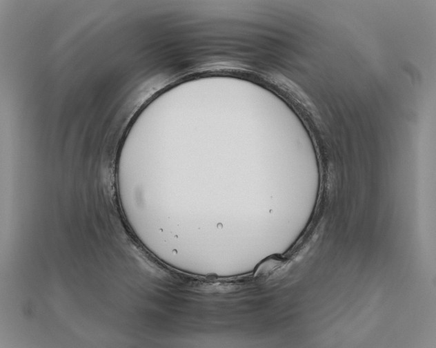 X0000111501321200908111238