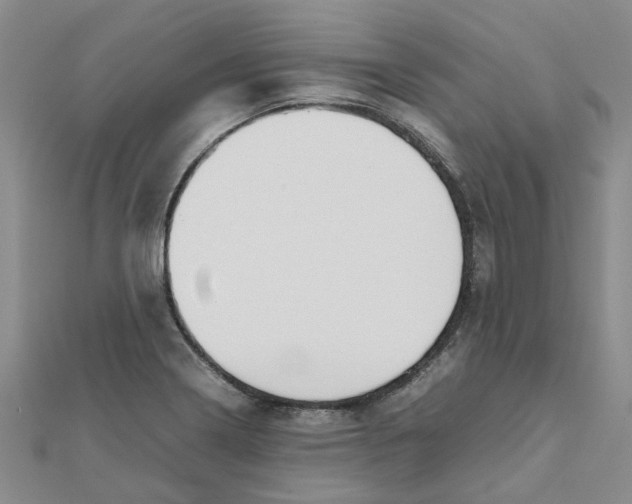 X0000111501322200908111238