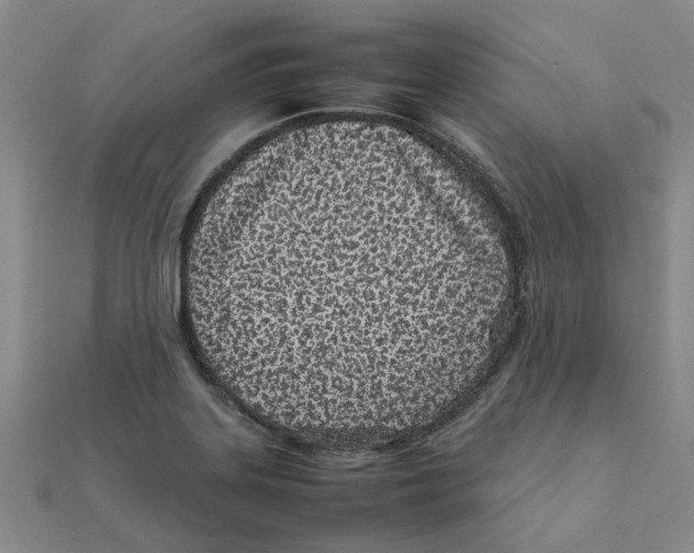 X0000111501323200908111238