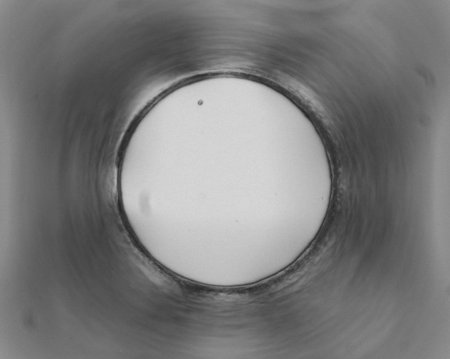 X0000111501324200908111238