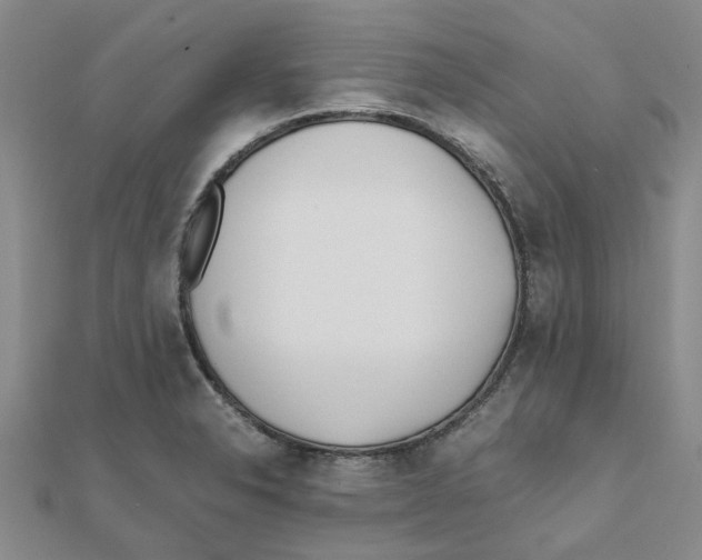 X0000111501326200908111238