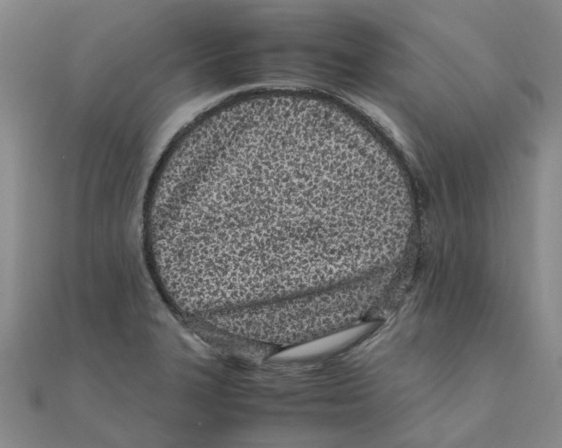 X0000111501327200908111238