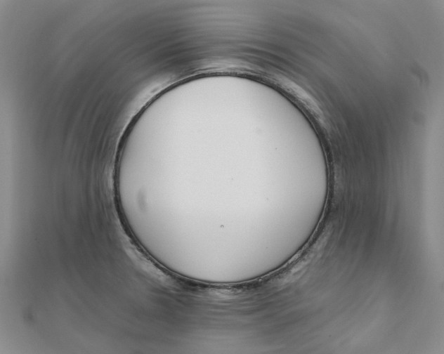 X0000111501330200908111238