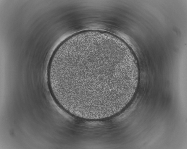 X0000111501331200908111238