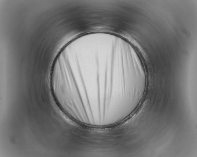 X0000111501333200908111238