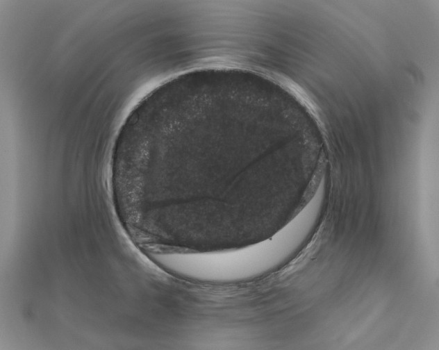 X0000111501334200908111238