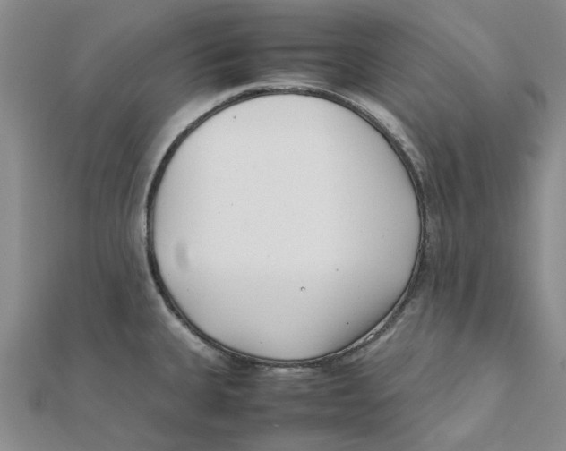 X0000111501335200908111238