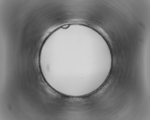 X0000111501336200908111238