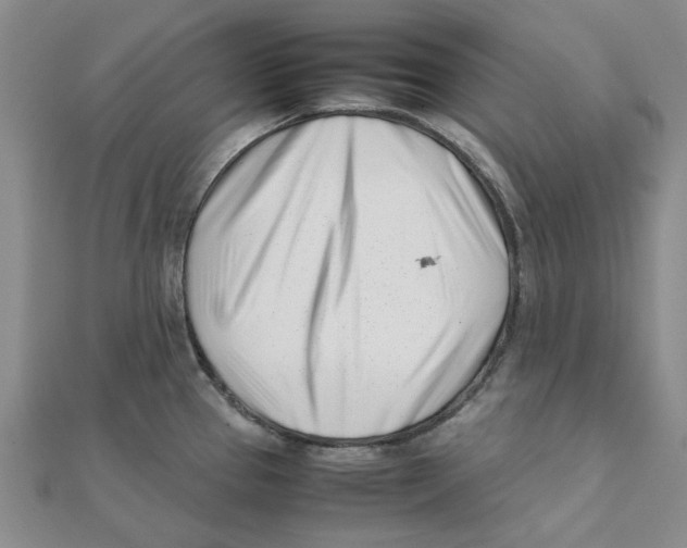 X0000111501337200908111238