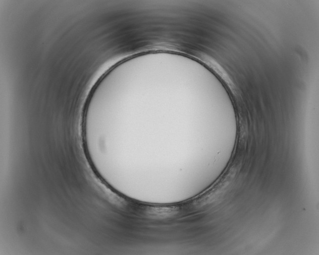 X0000111501339200908111238