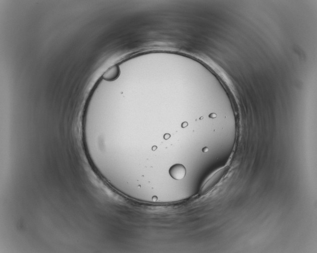 X0000111501341200908111238