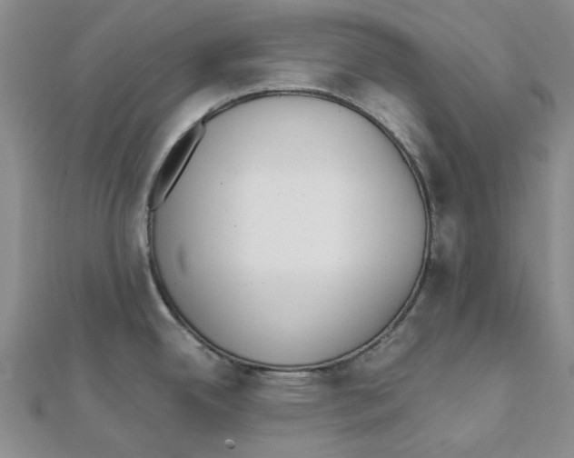 X0000111501342200908111238