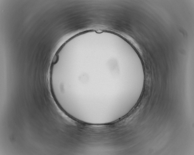 X0000111501343200908111238