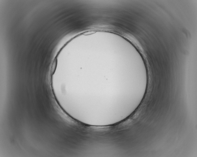 X0000111501344200908111238