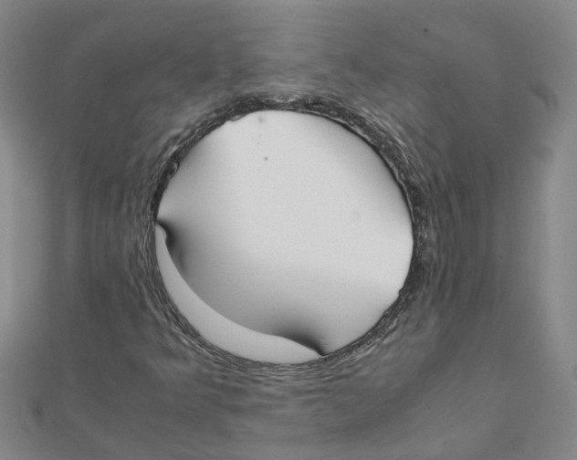 X0000111501349200908111237