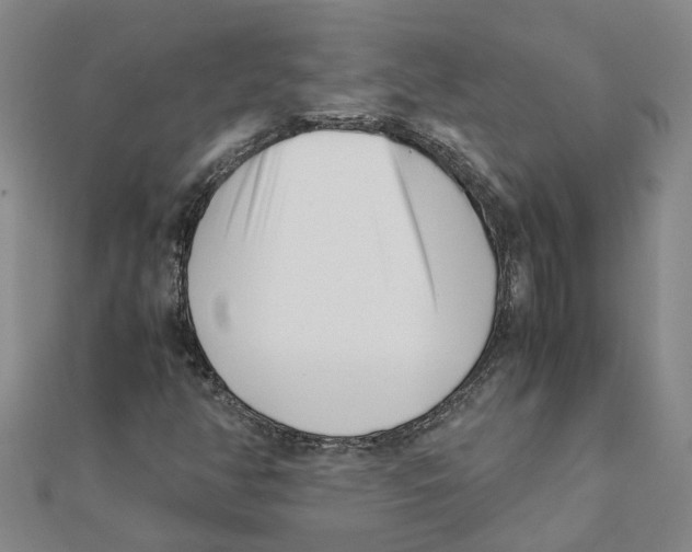 X0000111501350200908111237