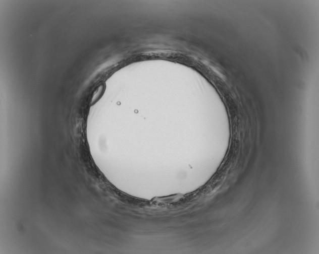 X0000111501351200908111237