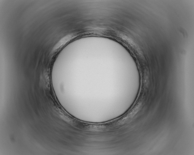 X0000111501354200908111237