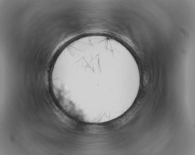 X0000111501356200908111237