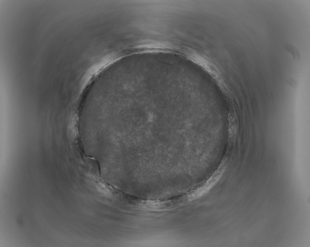 X0000111501357200908111237